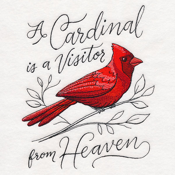 A Cardinal is a Visitor from Heaven