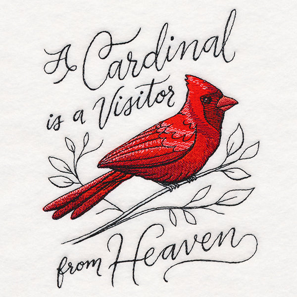 A Cardinal is a Visitor from Heaven