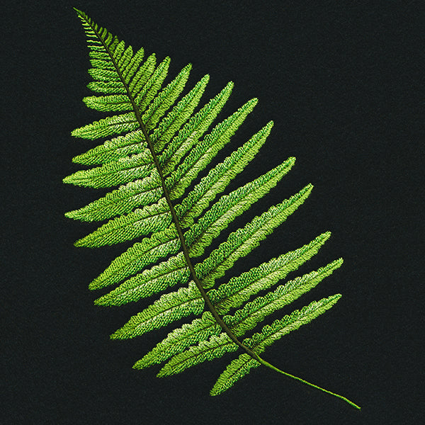 Fern Flourish