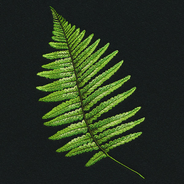Fern Flourish