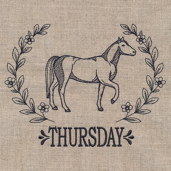 Farmhouse Horse on Thursday