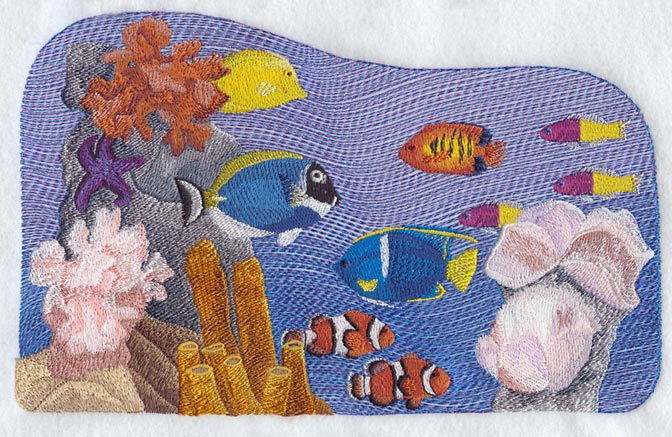 Coral Reef Scene