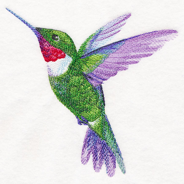 Ruby-Throated Hummingbird in Watercolor