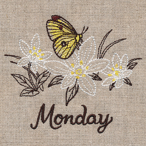 Blessed Monday - Clouded Sulfur & Star of Bethlehem