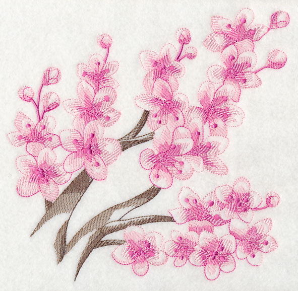 Cherry Blossom Beauty 3