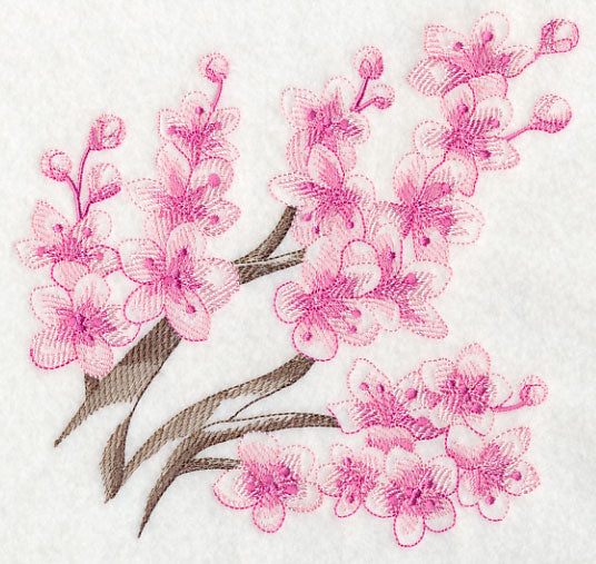 Cherry Blossom Beauty 3