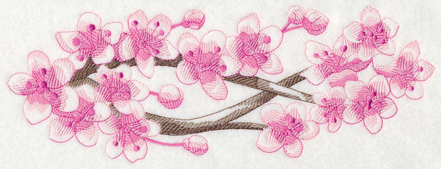 Cherry Blossom Beauty Border