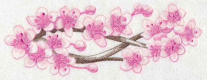 Cherry Blossom Beauty Border