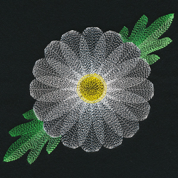 Blooming Garden Daisy