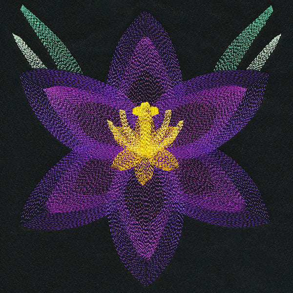 Blooming Garden Crocus