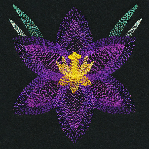 Blooming Garden Crocus