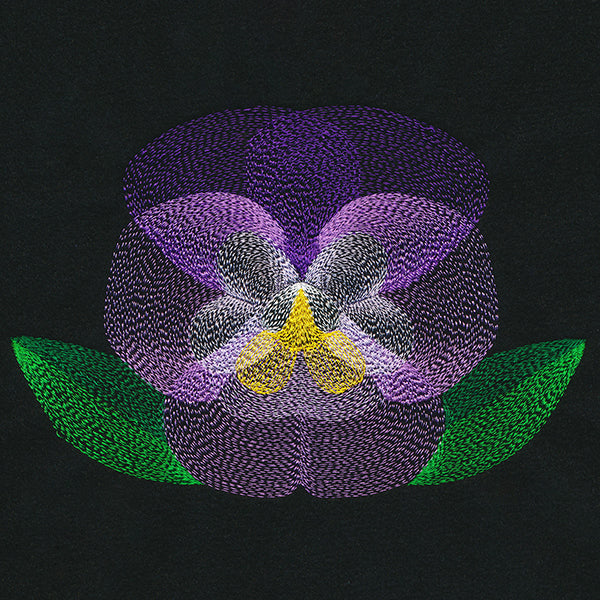 Blooming Garden Pansy