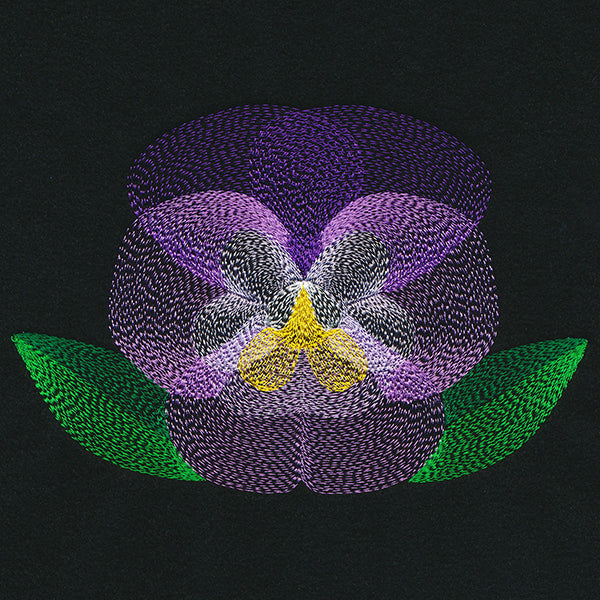 Blooming Garden Pansy