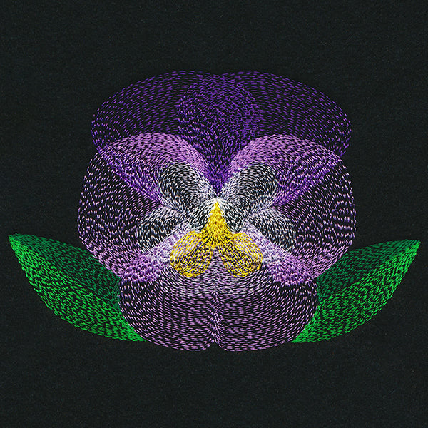 Blooming Garden Pansy