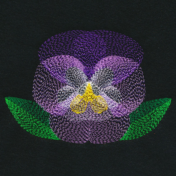 Blooming Garden Pansy