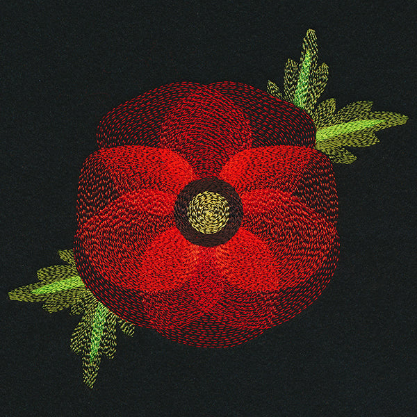 Blooming Garden Poppy