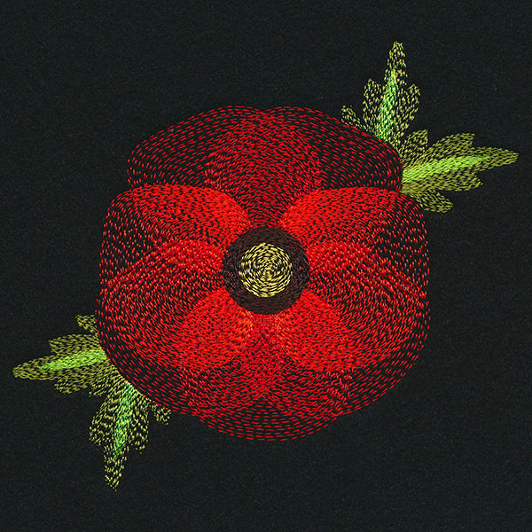 Blooming Garden Poppy