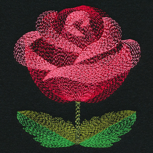 Blooming Garden Rose