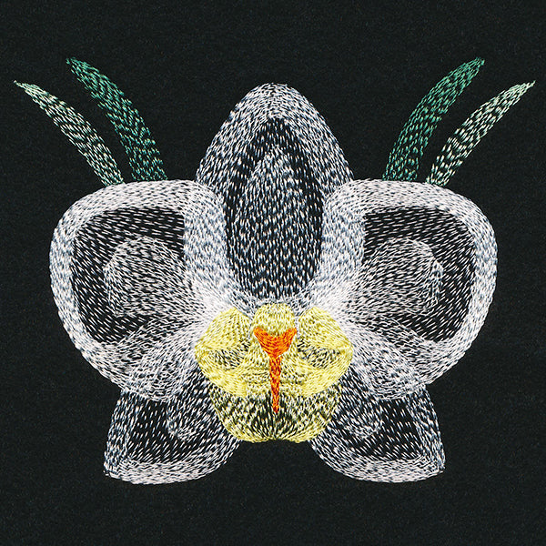 Blooming Garden Orchid