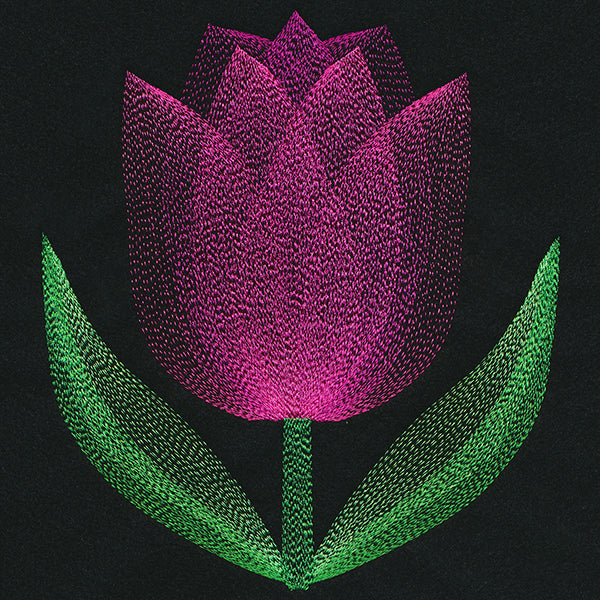 Blooming Garden Tulip