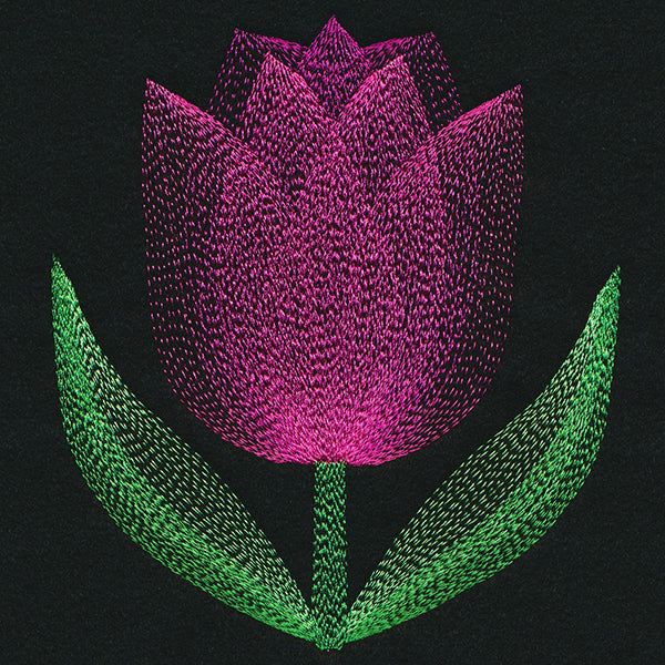 Blooming Garden Tulip