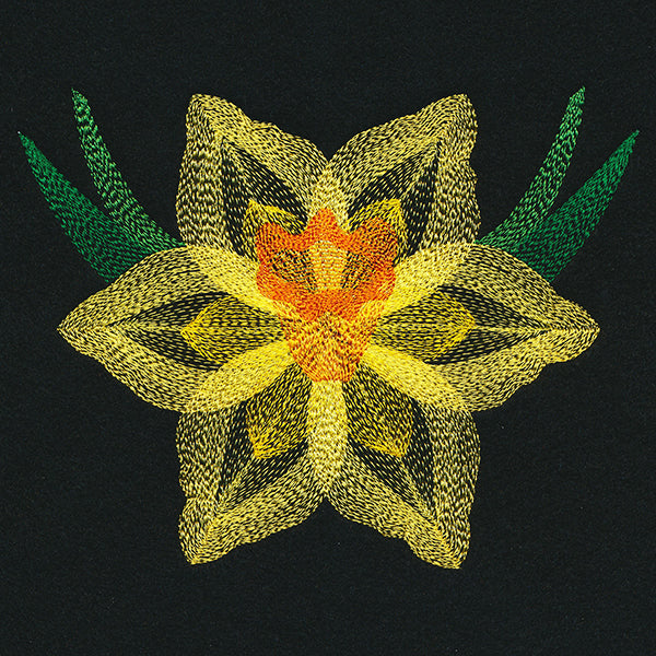 Blooming Garden Daffodil