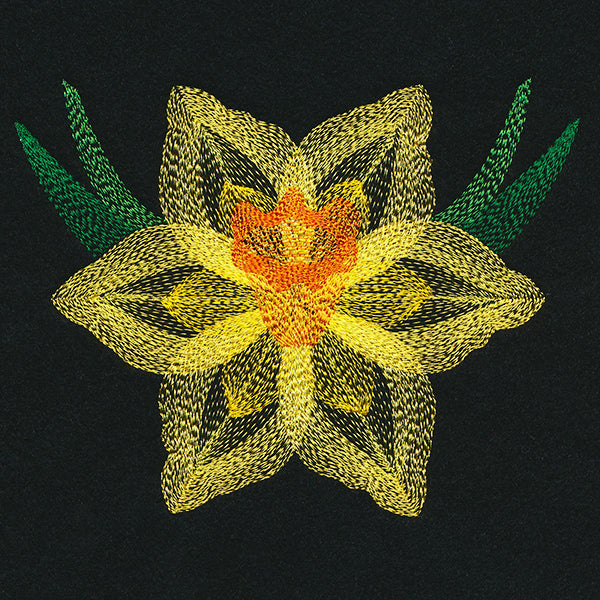 Blooming Garden Daffodil