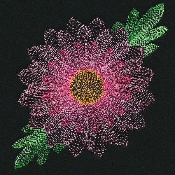 Blooming Garden Chrysanthemum