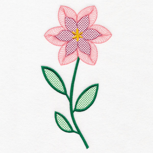 Beautiful Spiral Bloom