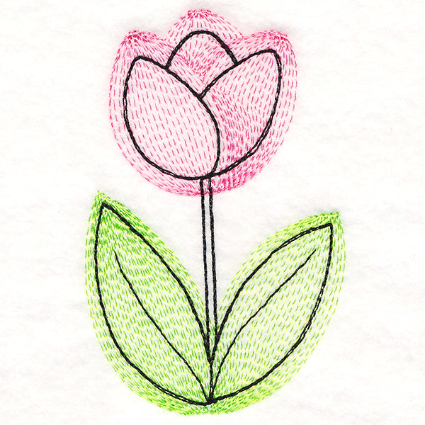 Growing Garden Tulip