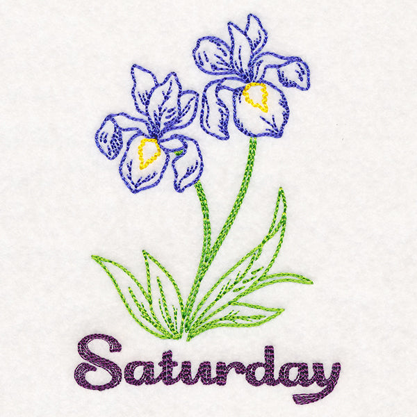 Irises on Saturday (Vintage)