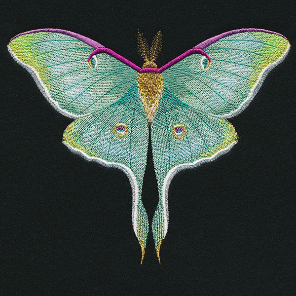 Emerald Luna Moth