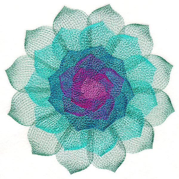 Captivating Succulent