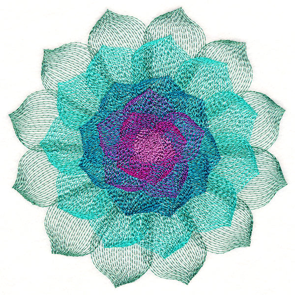 Captivating Succulent