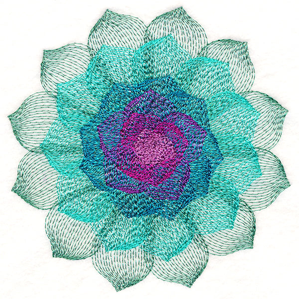 Captivating Succulent