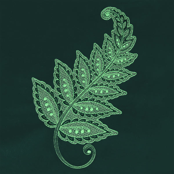 Emerald Dreams Fern