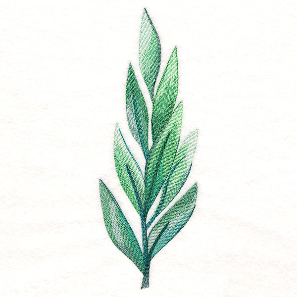 Elegant Botanical in Watercolor