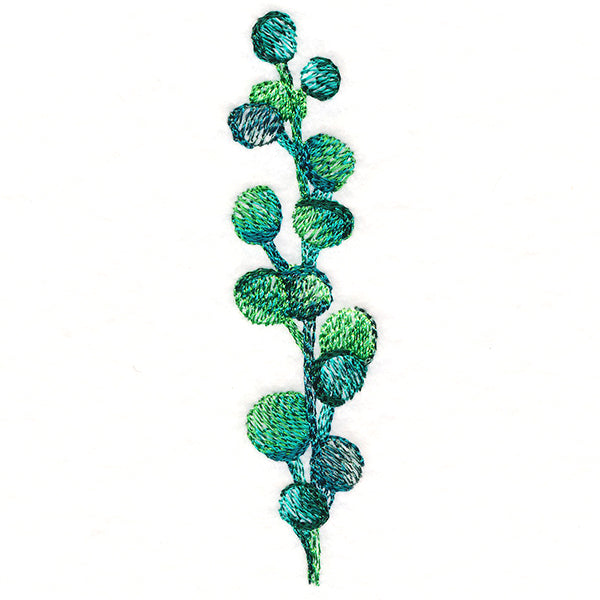 Bubbly Botanical in Watercolor