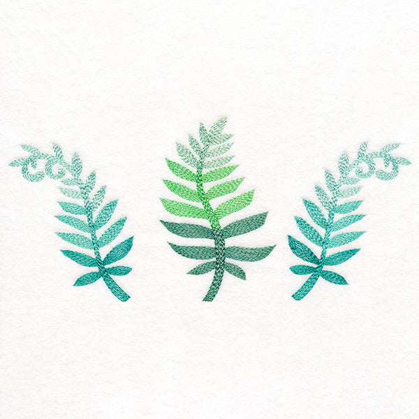 Bright and Breezy Ferns Trio