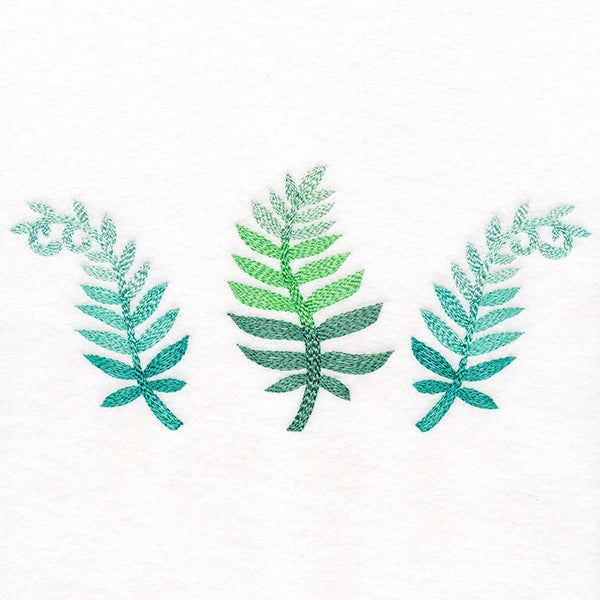 Bright and Breezy Ferns Trio