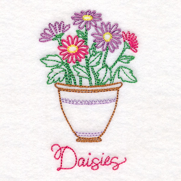 Fancy Flowerpot Daisies (Vintage)