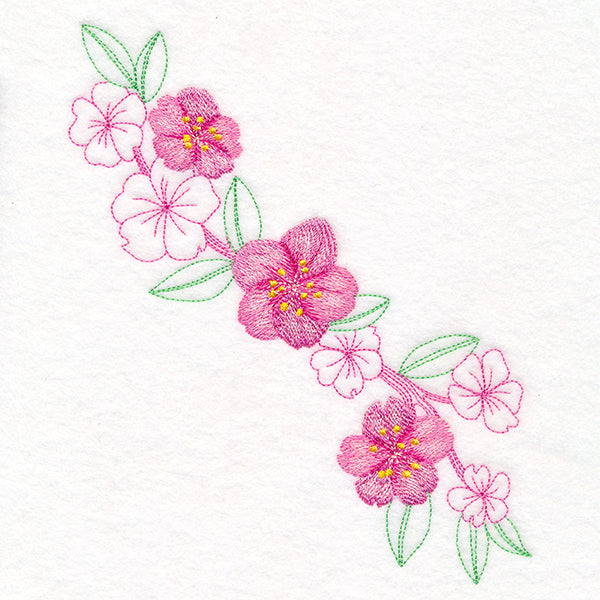 Charming Cherry Blossoms Echo