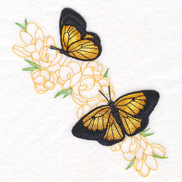 Elegant Butterfly Echo