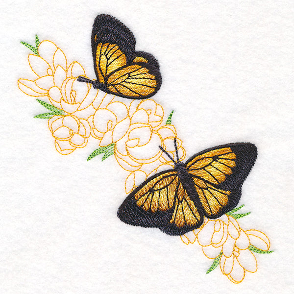 Elegant Butterfly Echo