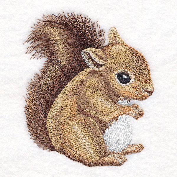 Sweet Baby Squirrel