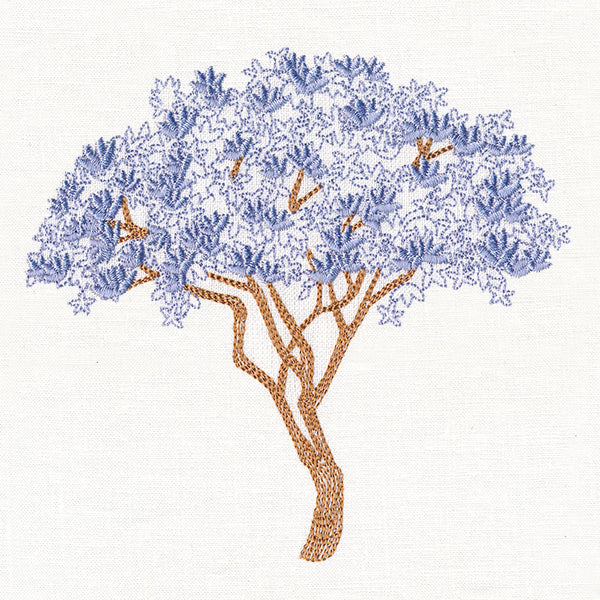 Delicate Magnolia Tree