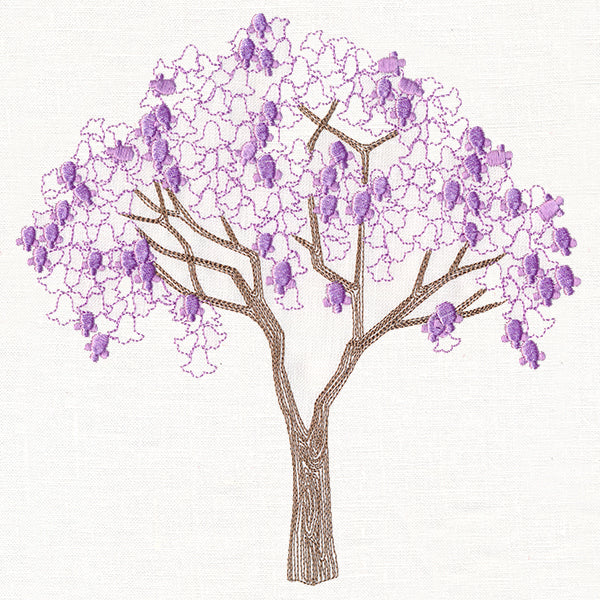 Delicate Jacaranda Tree