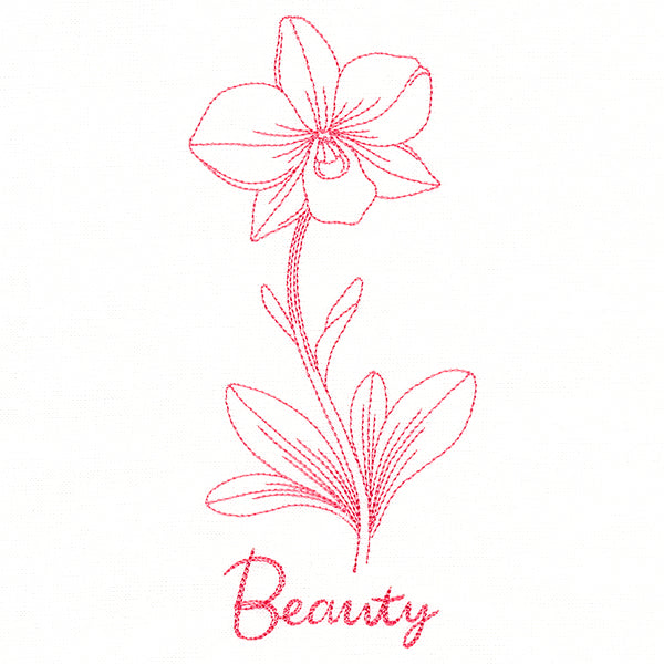 Orchids of Beauty (Vintage)