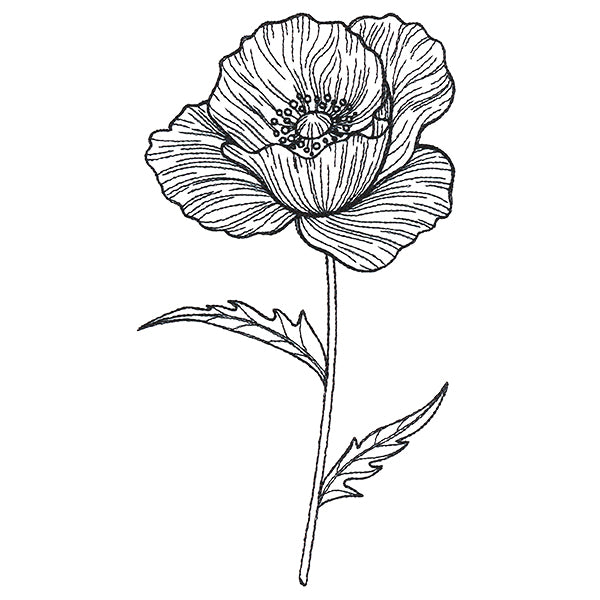 Pretty Poppy Etching