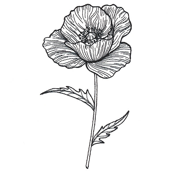 Pretty Poppy Etching